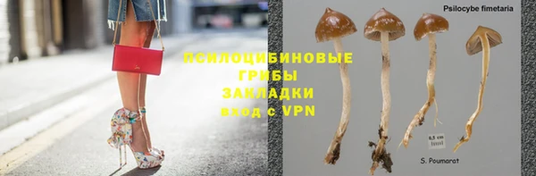 бутират Горно-Алтайск