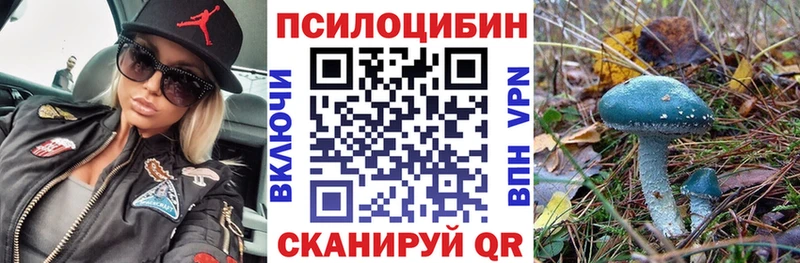 Псилоцибиновые грибы GOLDEN TEACHER shop клад Ейск что такое